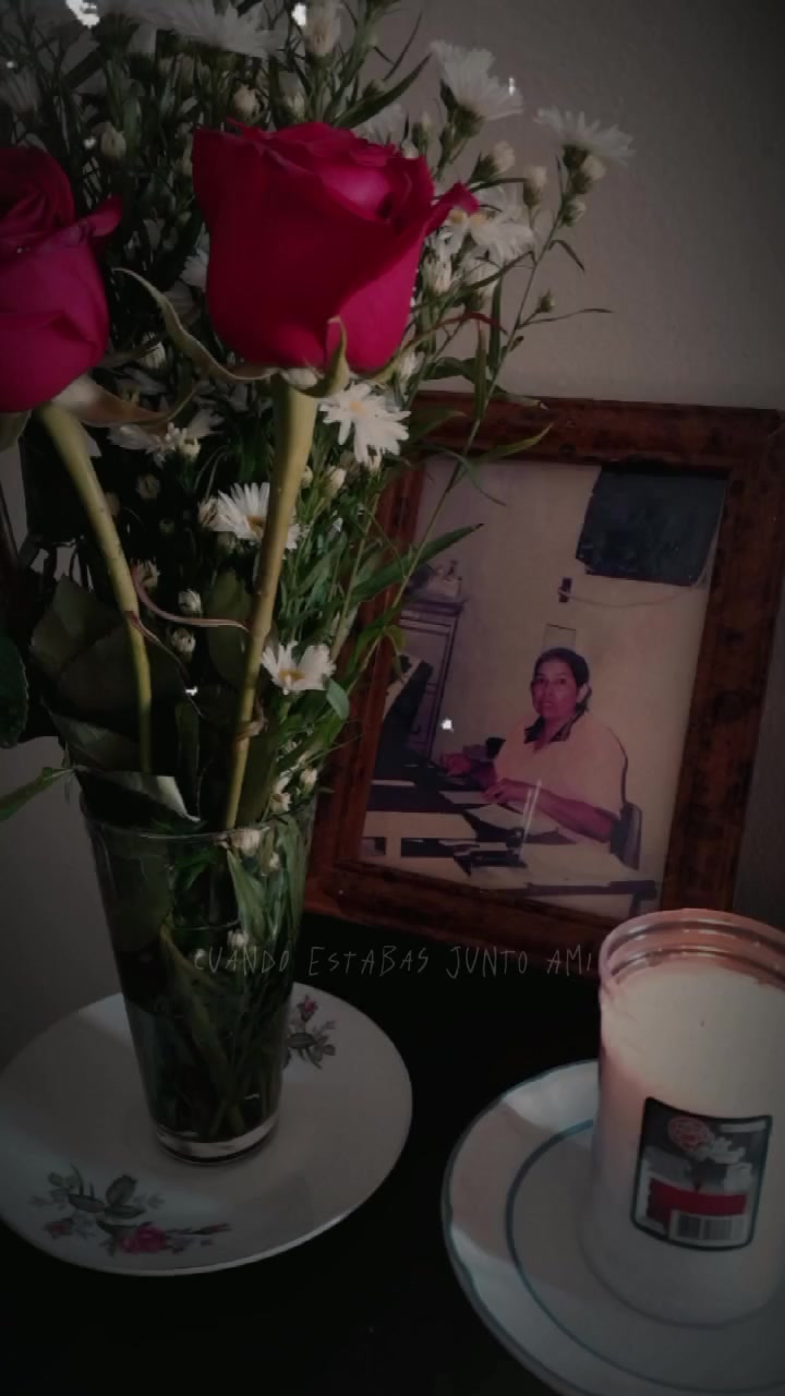 @solsolis1🌻🖤