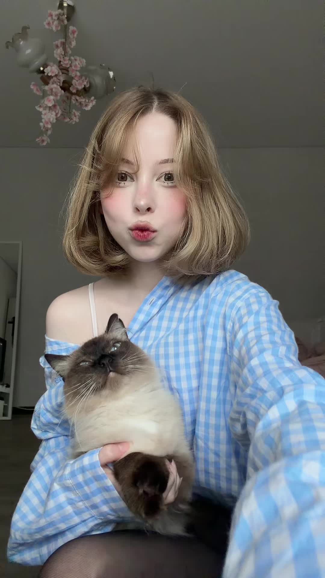 @тг:мевертик