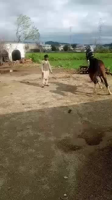 @Abdul Rehman