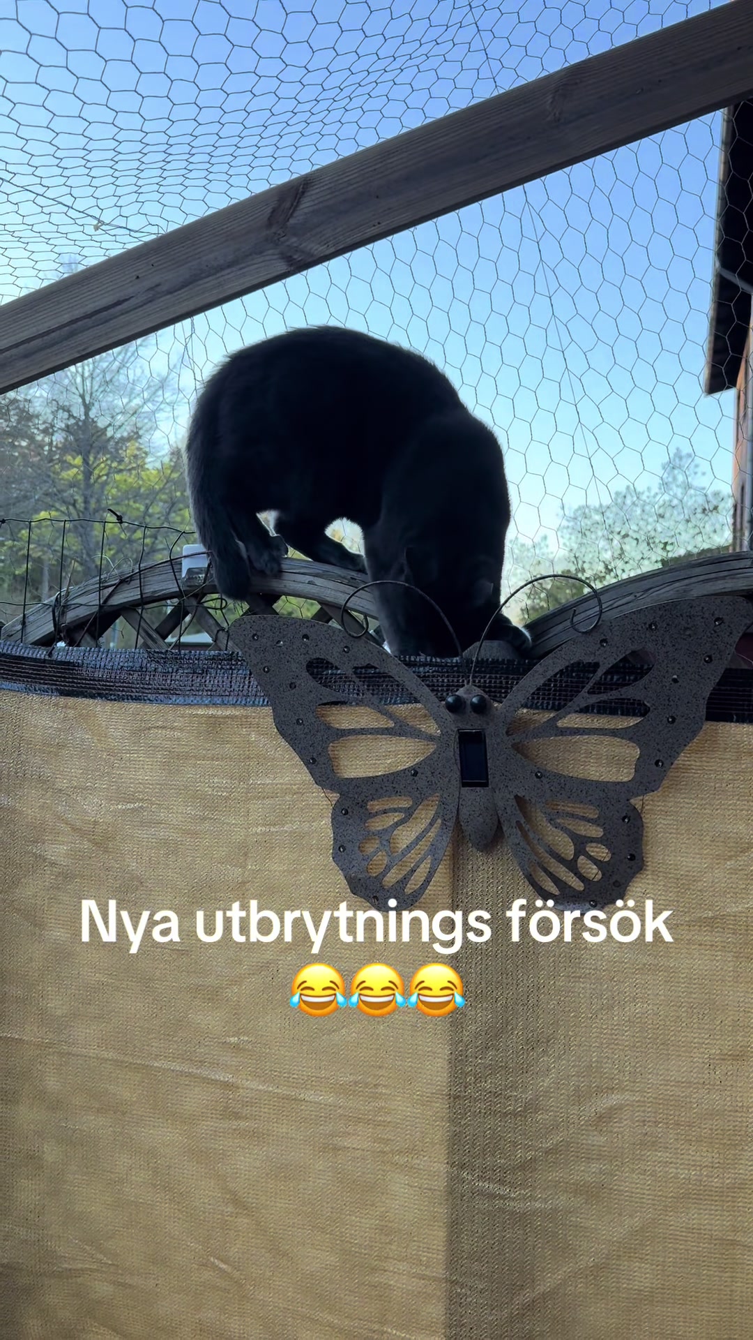@Linda Prytz951🇸🇪