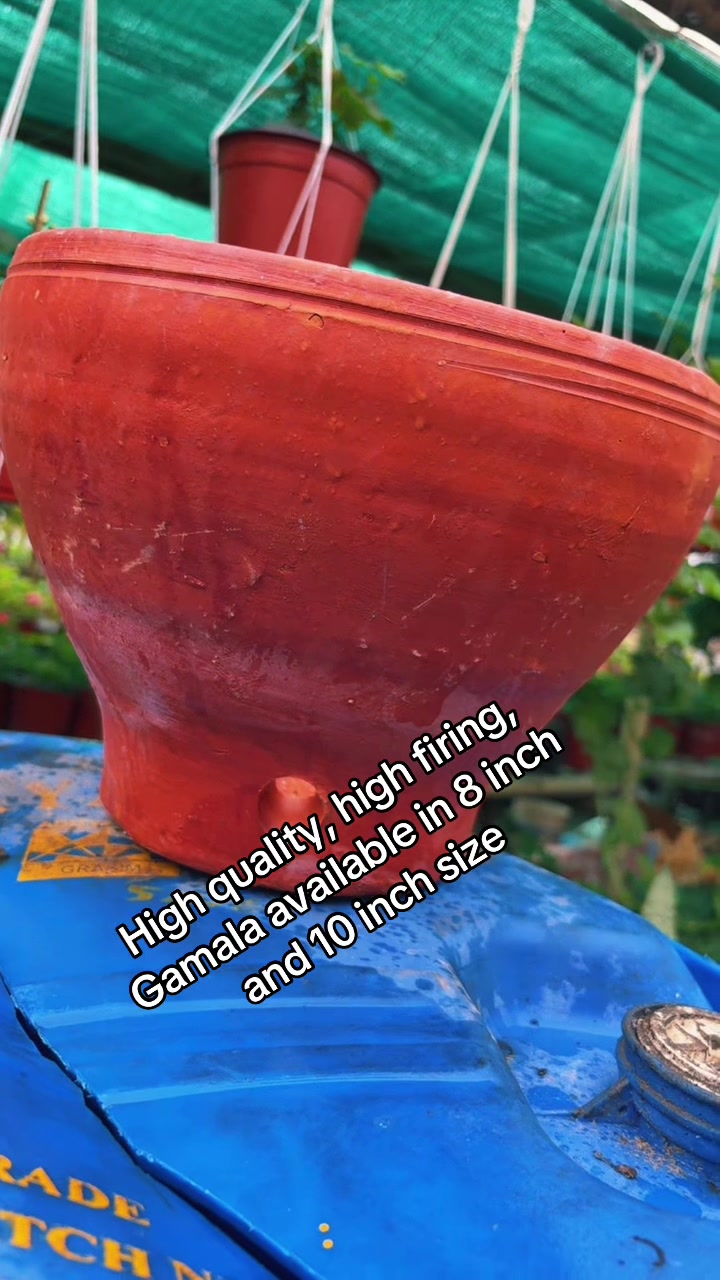 @Nirvan Nursery