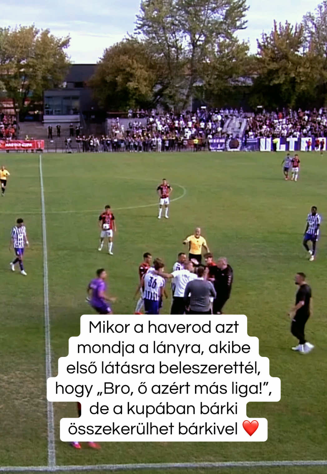 @Nemzeti Sport