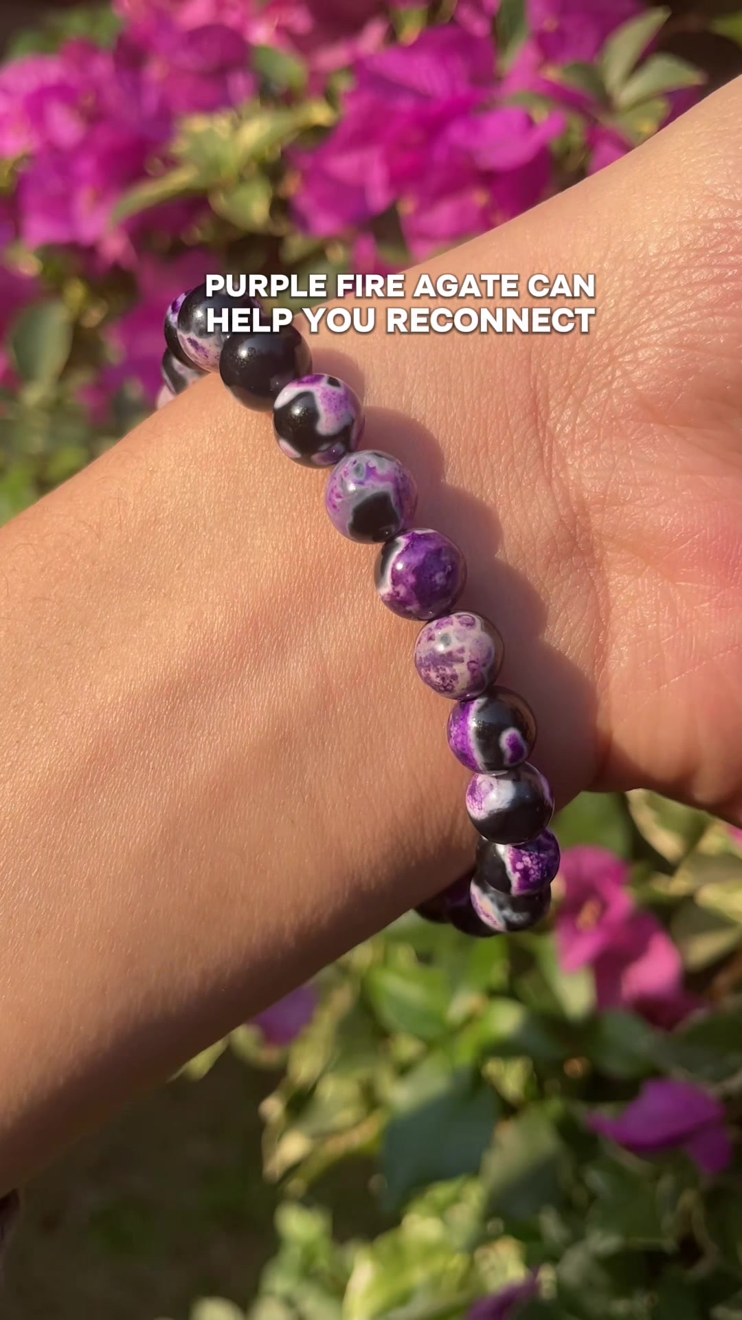@ORVEL GEMS
