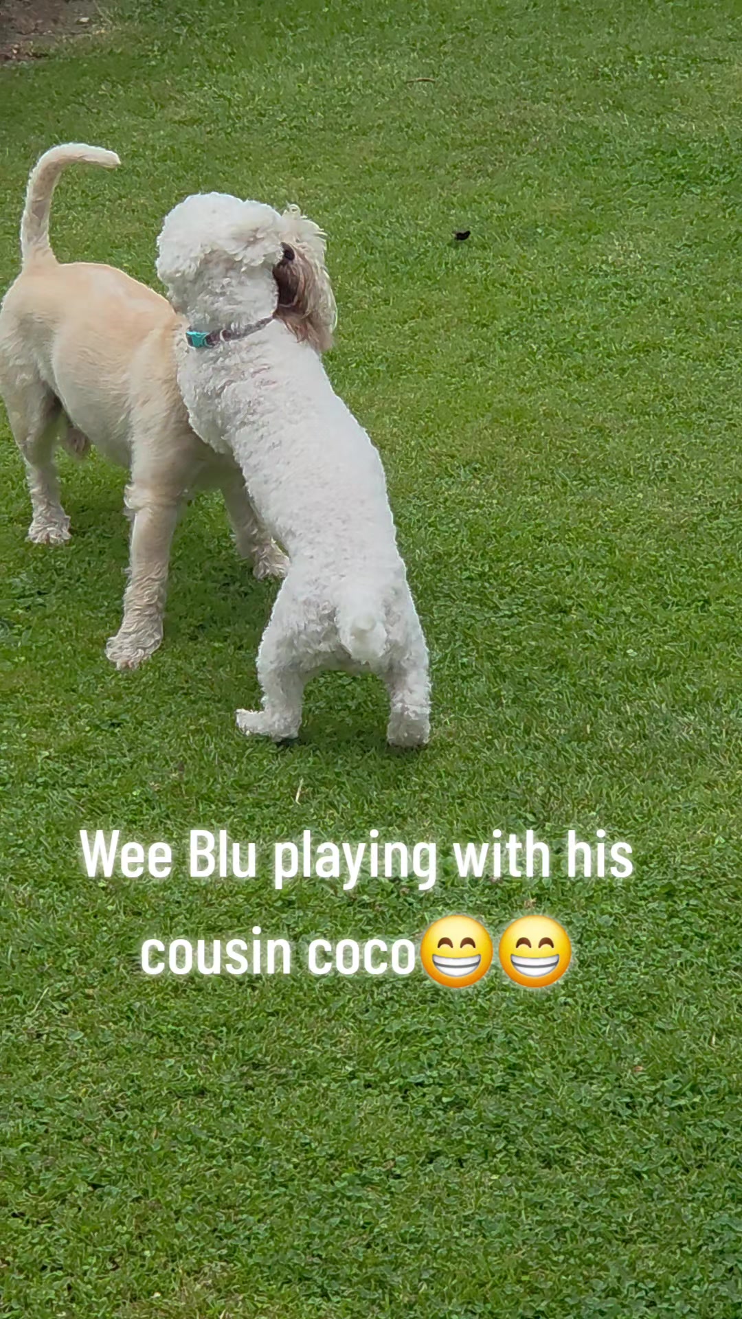 @Seamie 11 11