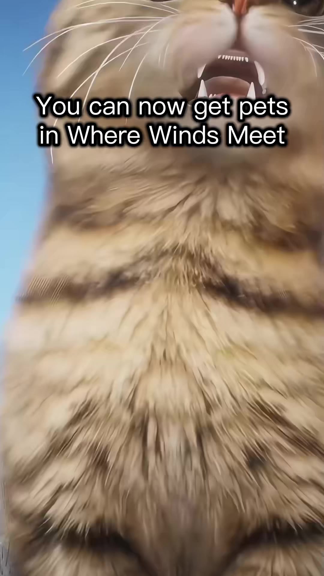 @z