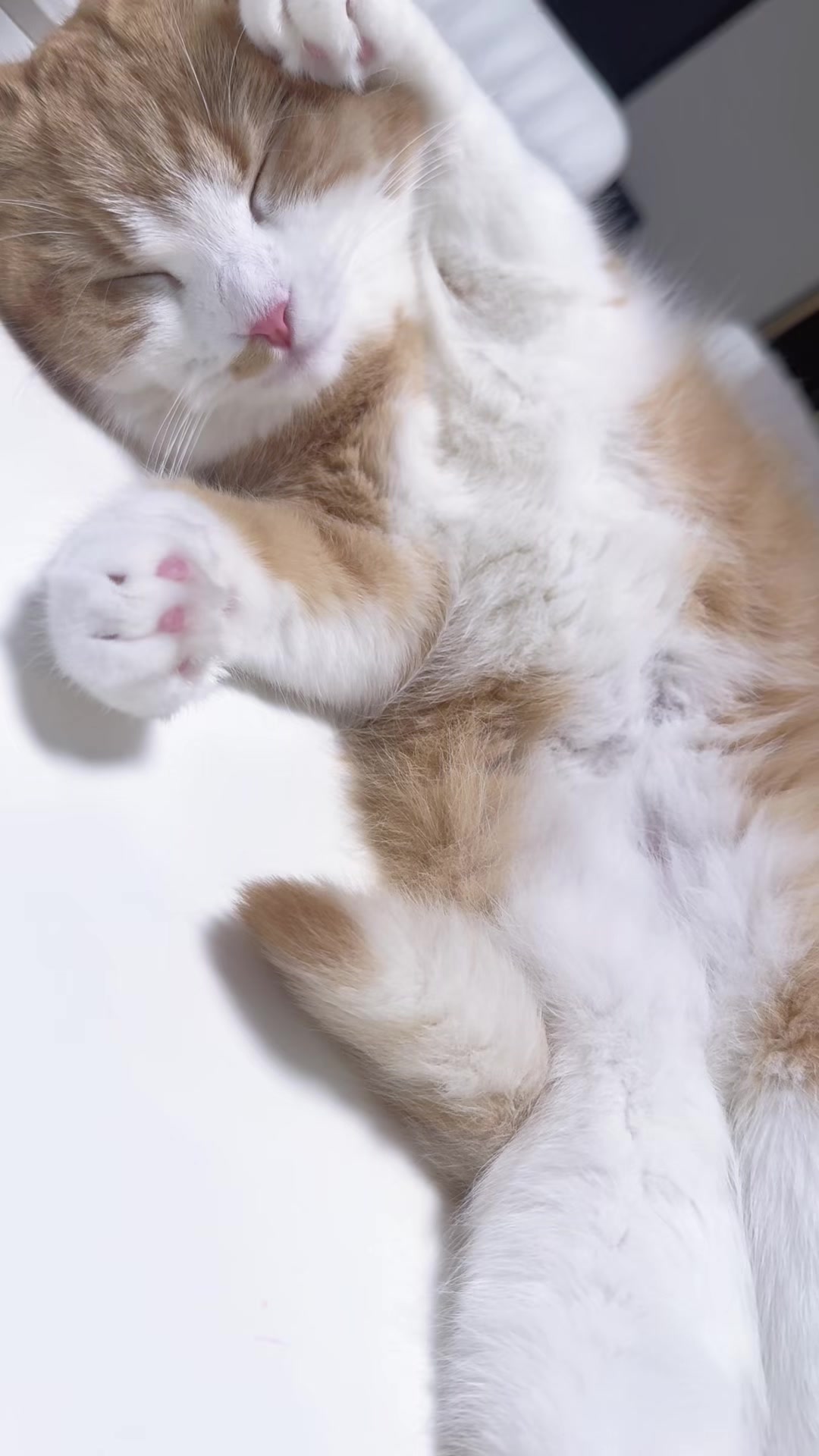 @マロン
