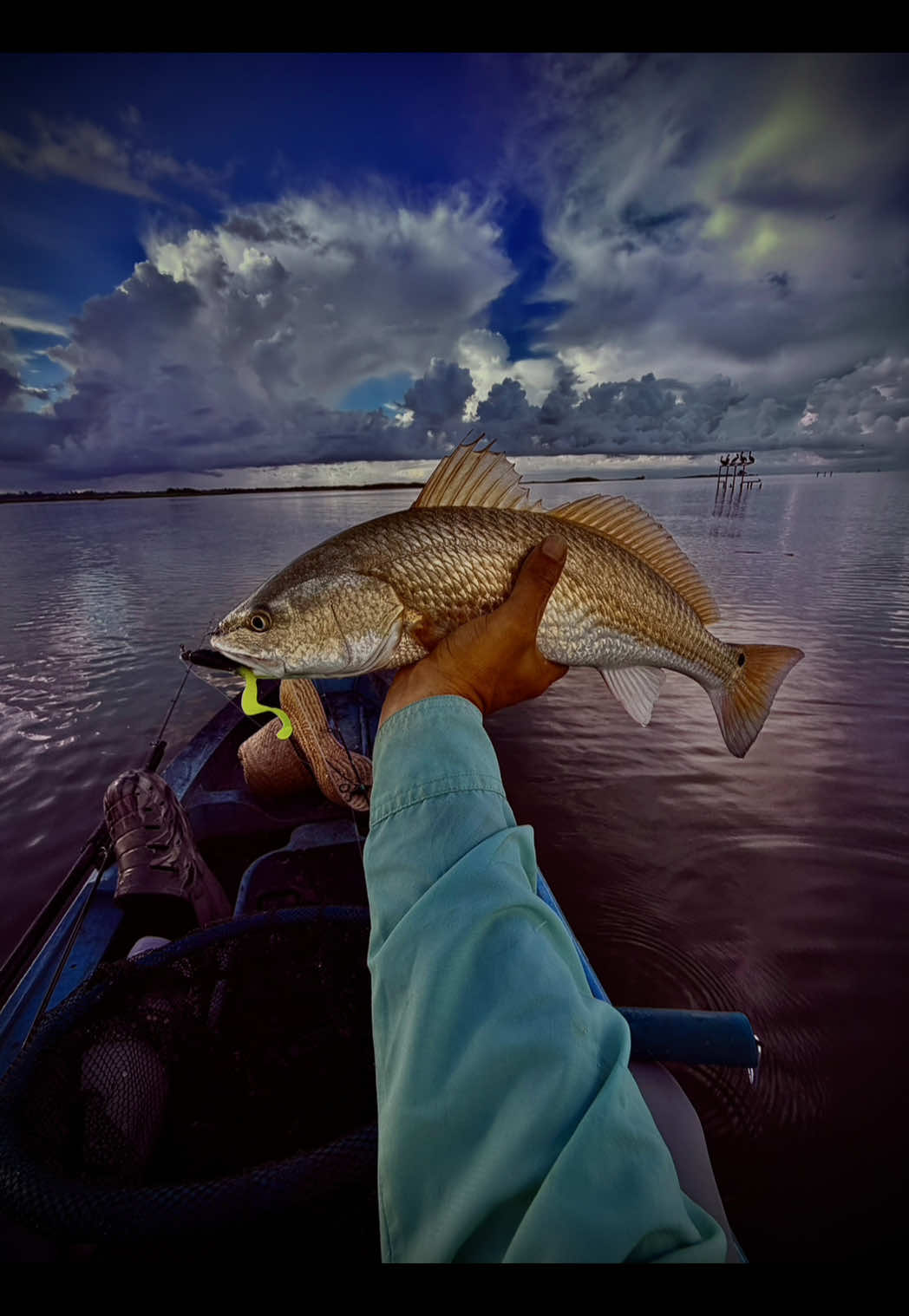 @LOW_BUDGET_FISHING