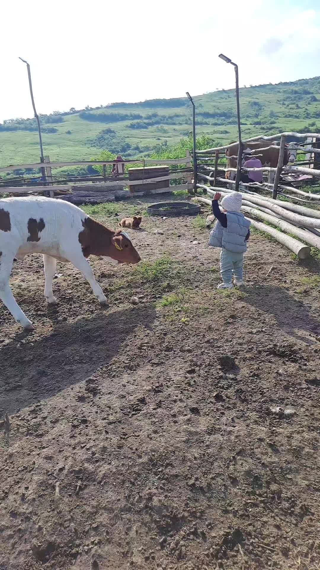 @Dascãlu Flöriñ