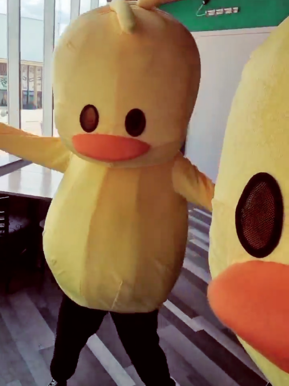 @TheDirtyDuckWarwickSU