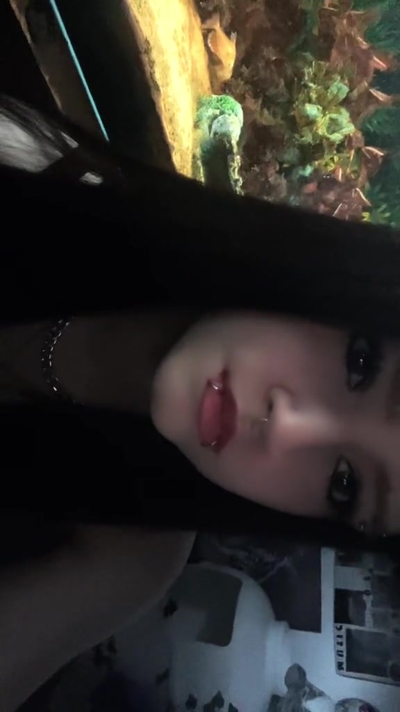 @๐๐ถ๐๐๐พโฏ๊จ๏ธ