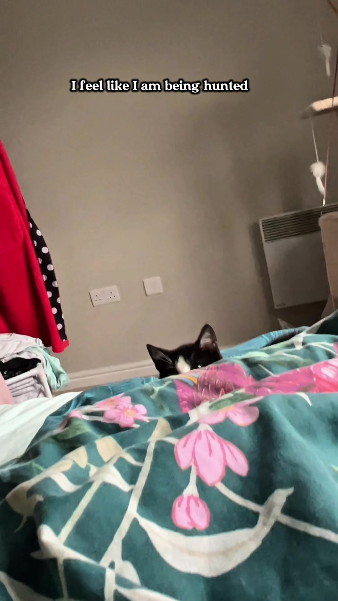 @slavic_cat_mum
