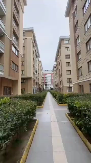 @zal_emlak