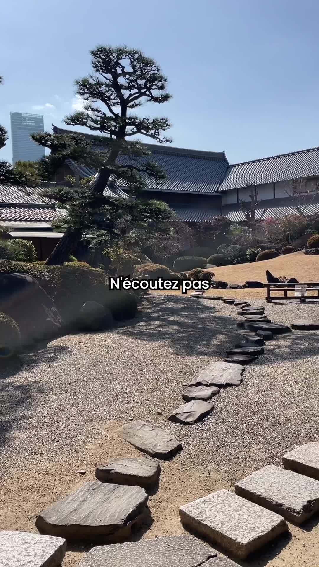 @Le Go&ucirc;t des Racines