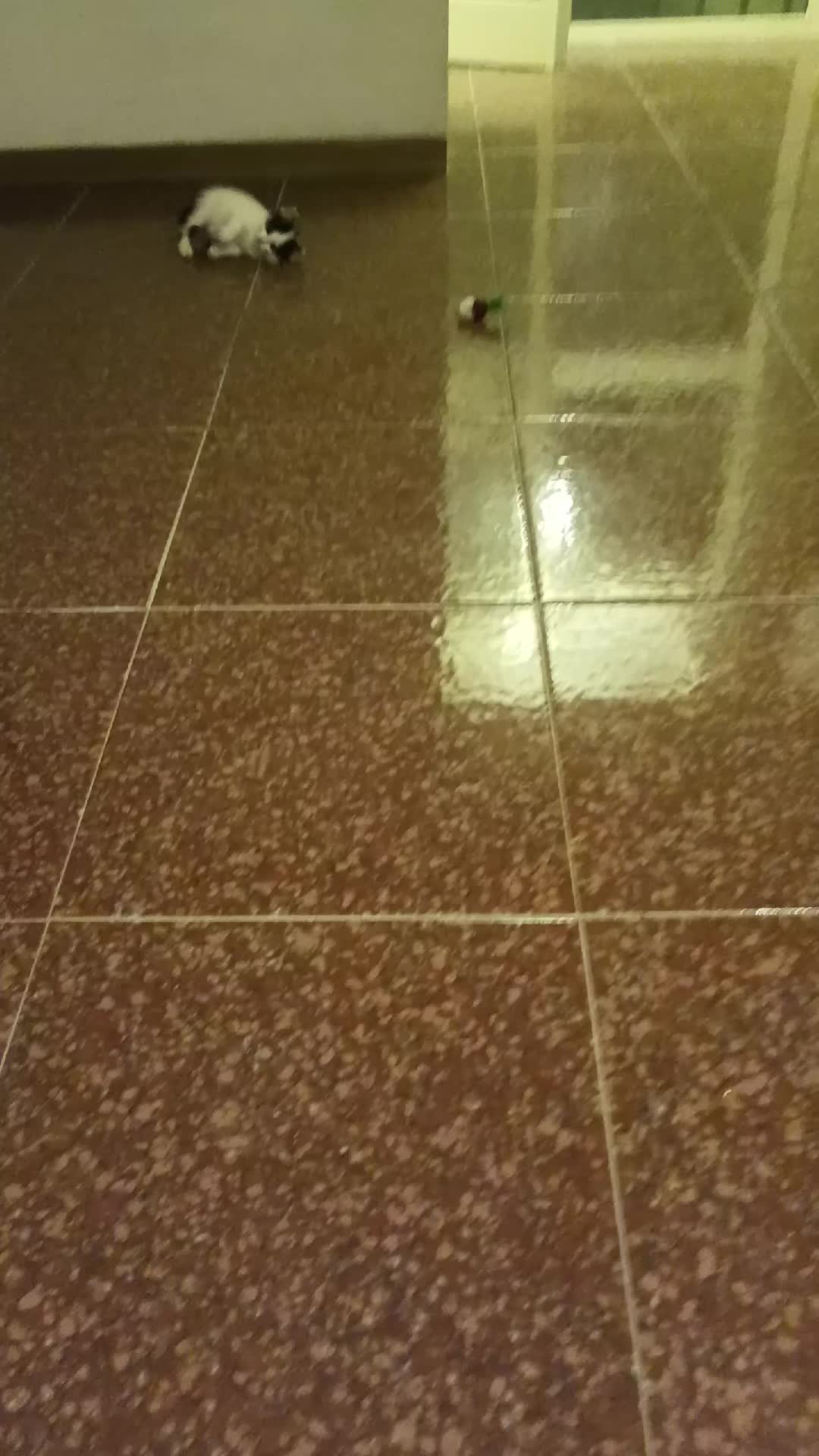 @Annalisa De Vincentiis