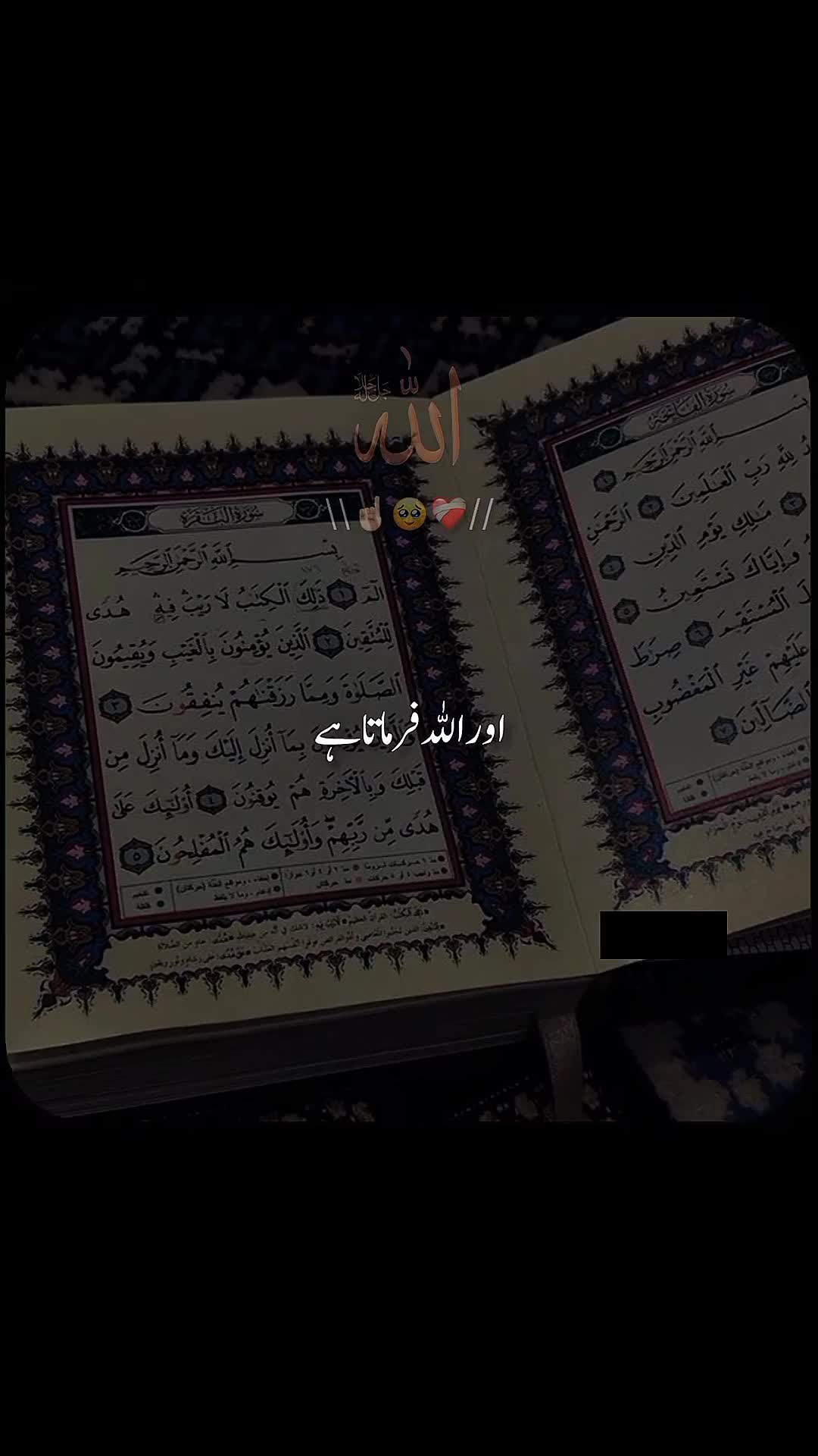 @✨dilawar edits✨