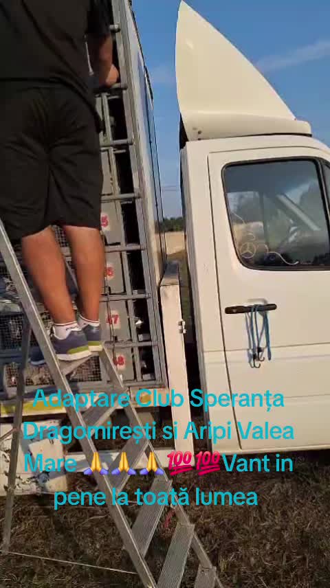@Andrei Mira