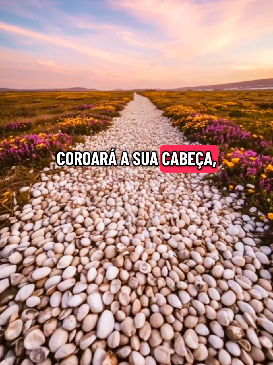 @Frases motivacionais