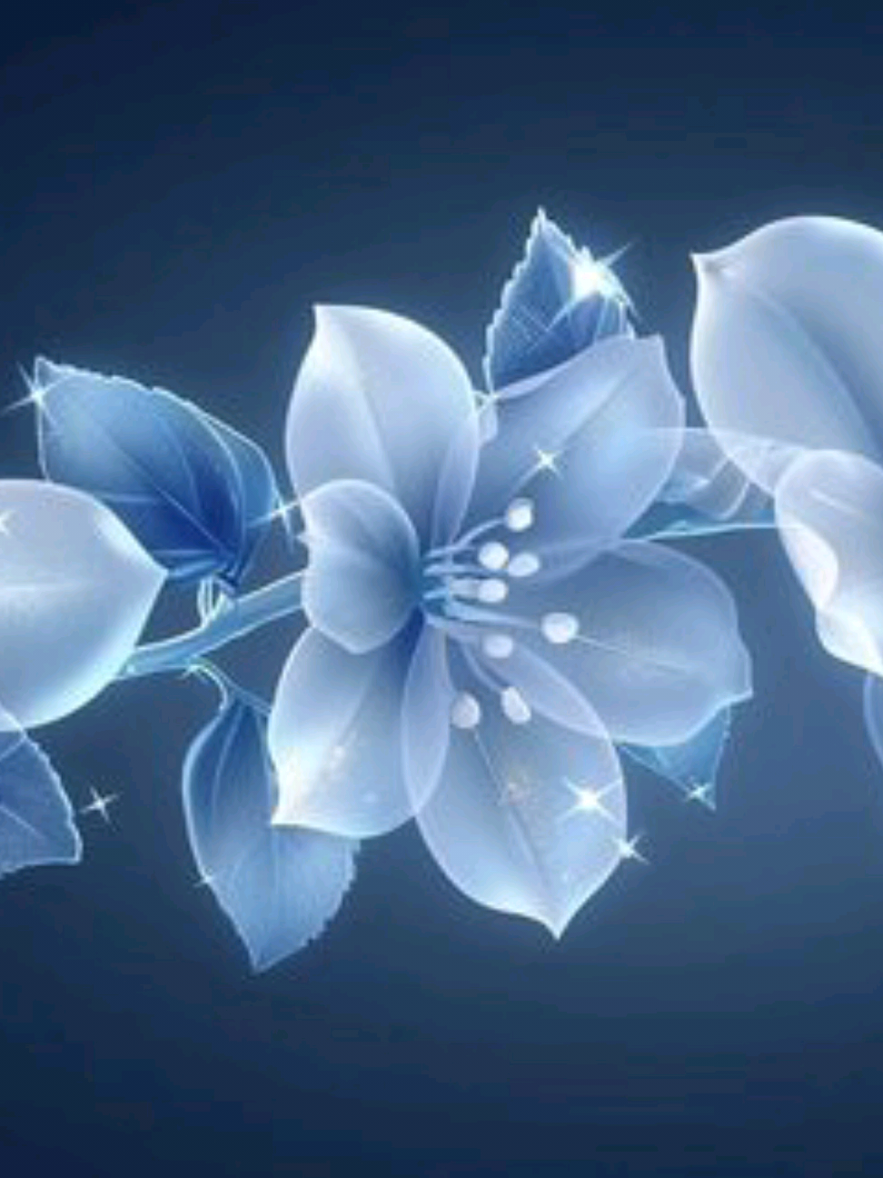 @𝐍𝐨𝐯𝐚𝐫𝐢𝐚 ⋆