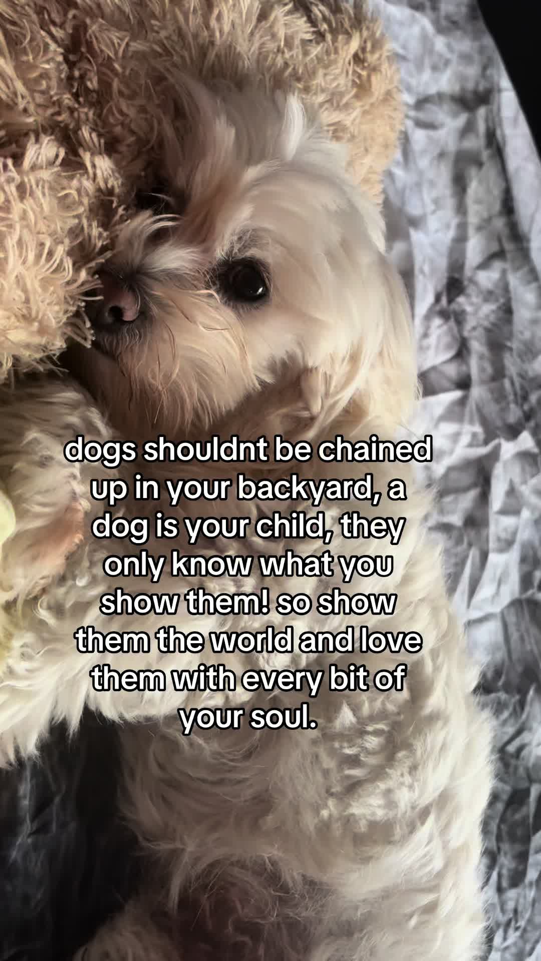@Bella & Chitzi
