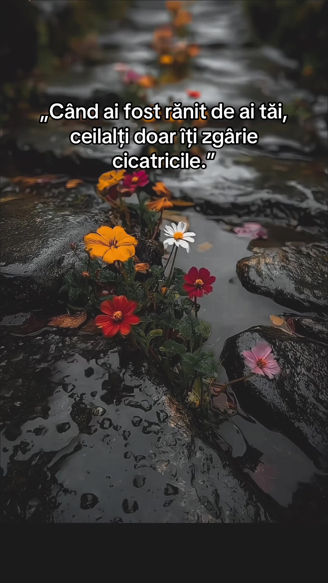 @citate.cu.de.toate