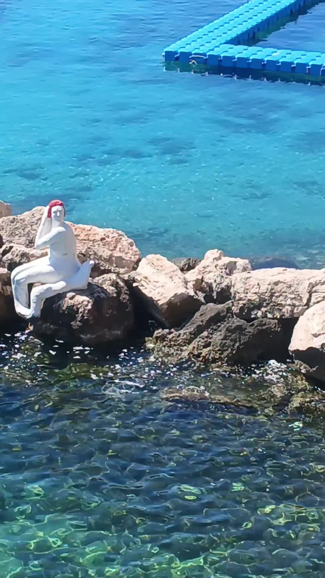 @luigifasciano780