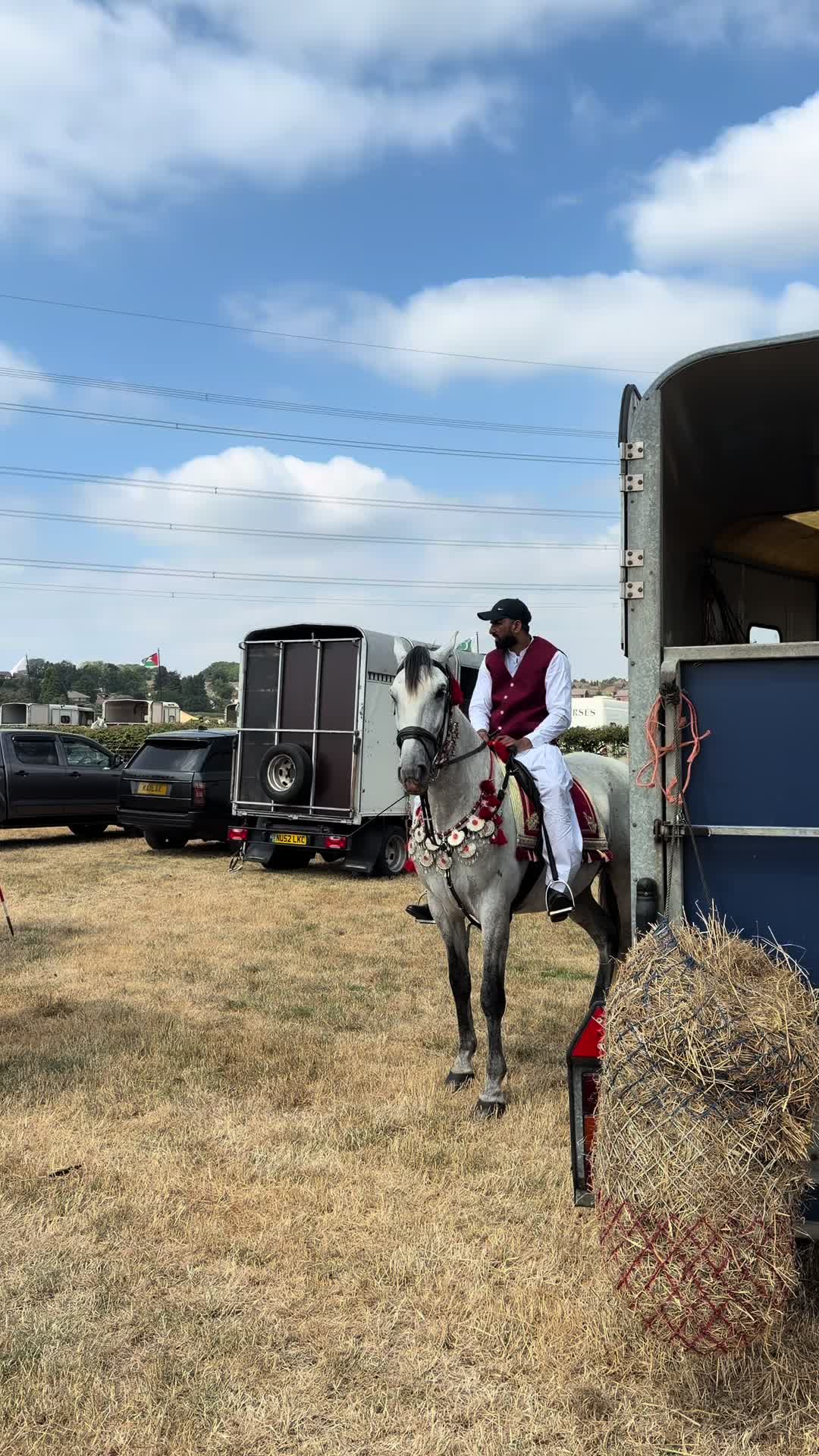 @Slough horses