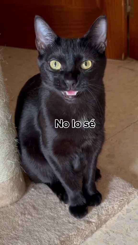 @BlackMisy