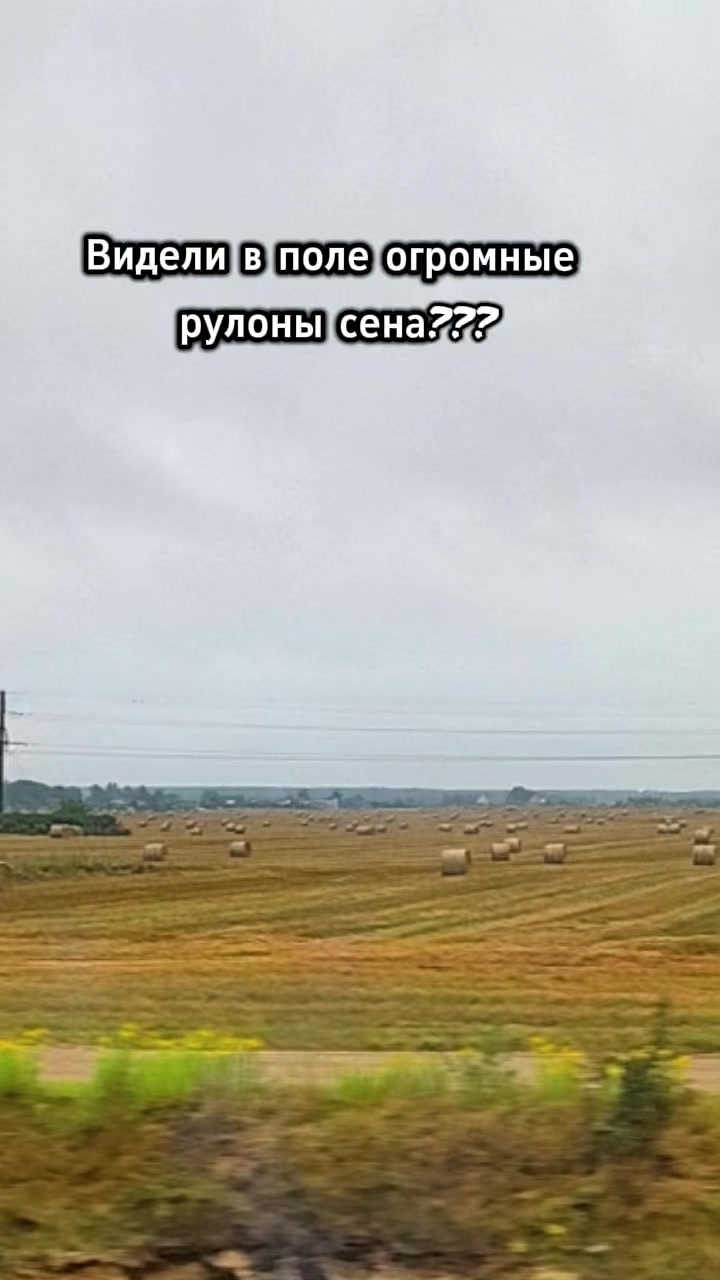 @Веселая семейка☑️