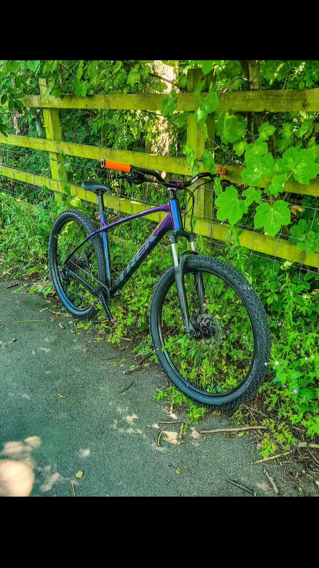 @Damon EMTB