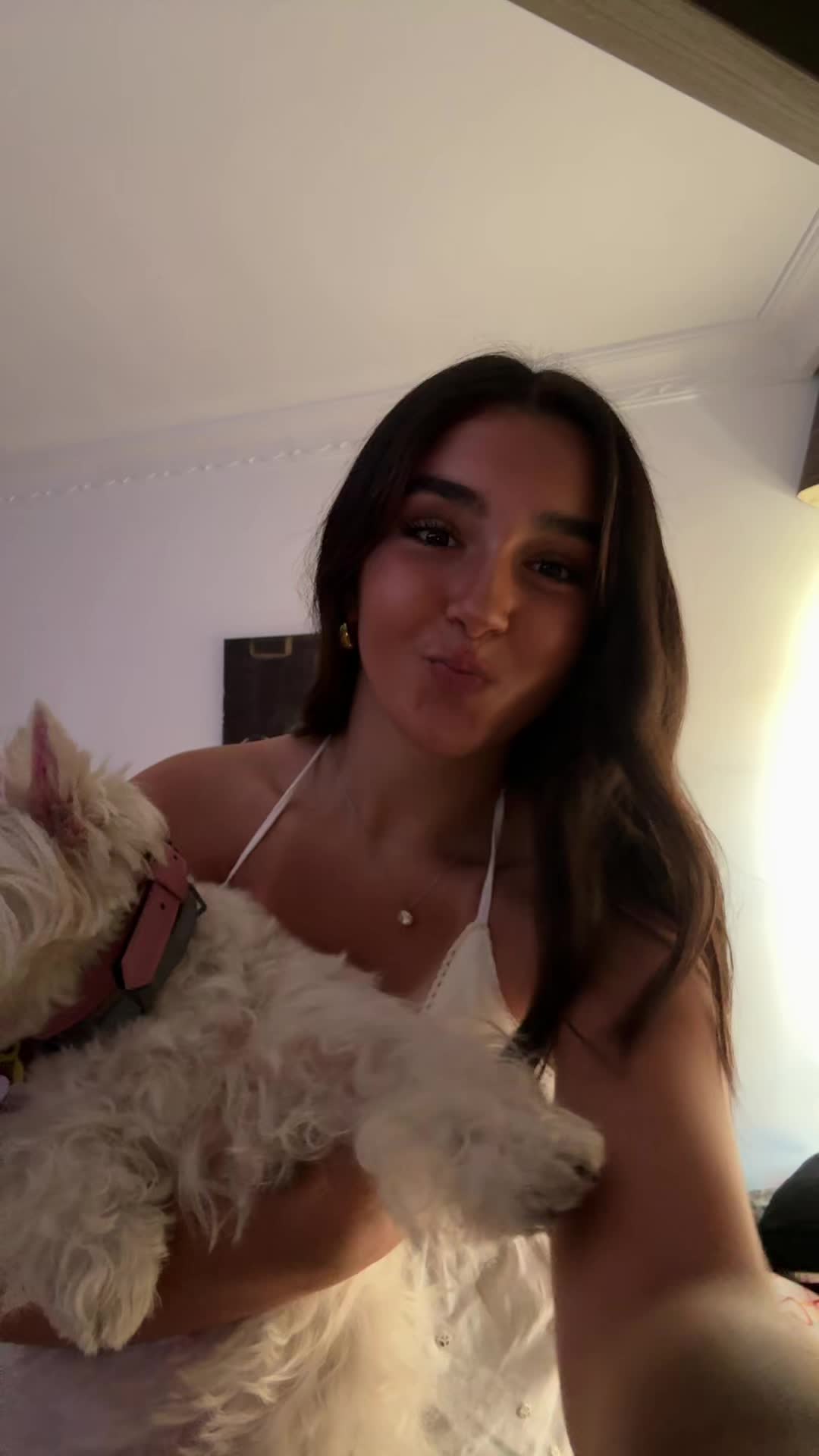 @noalosg