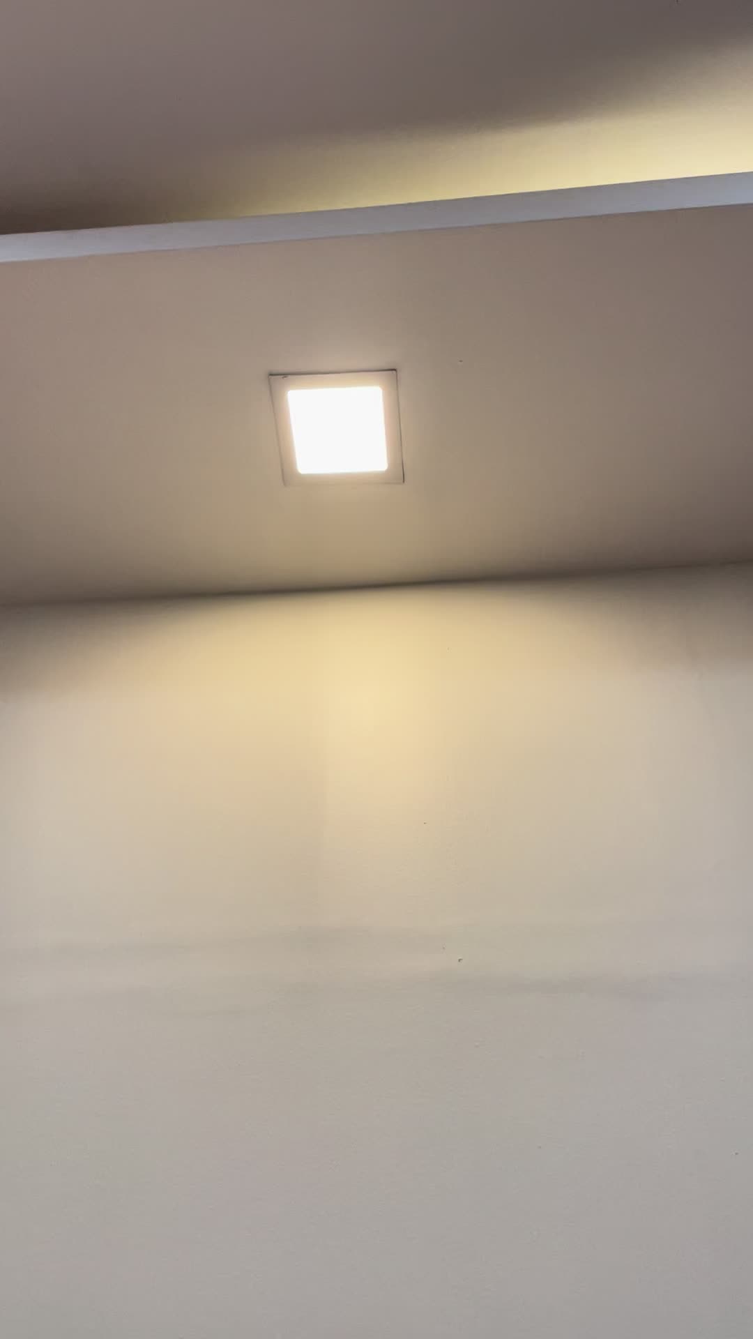 @levyzeadao0