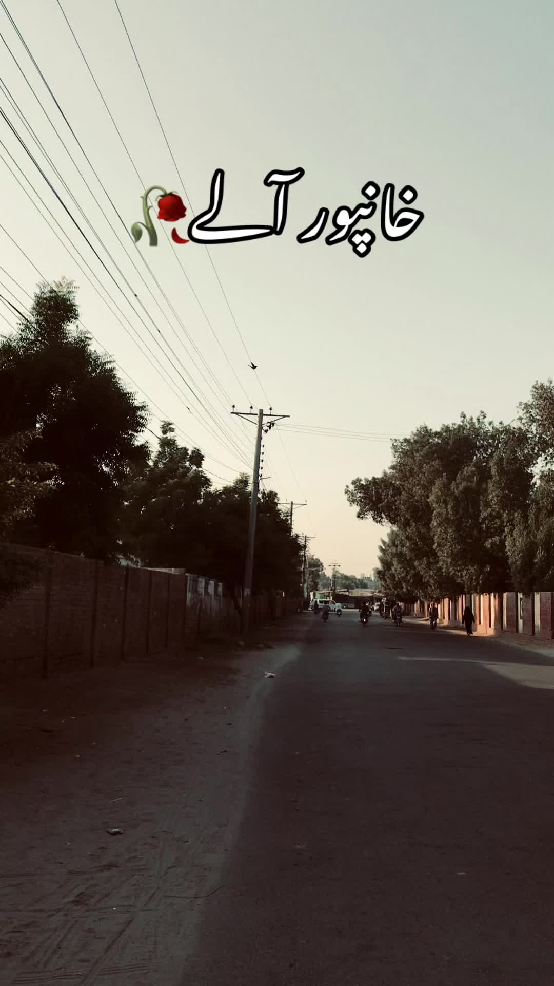 @خانپور آلے🥀
