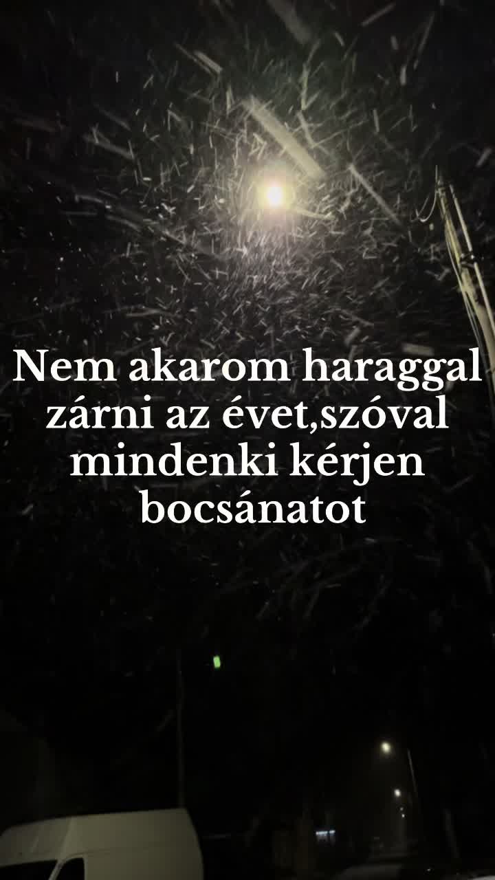 @Tivi🐺