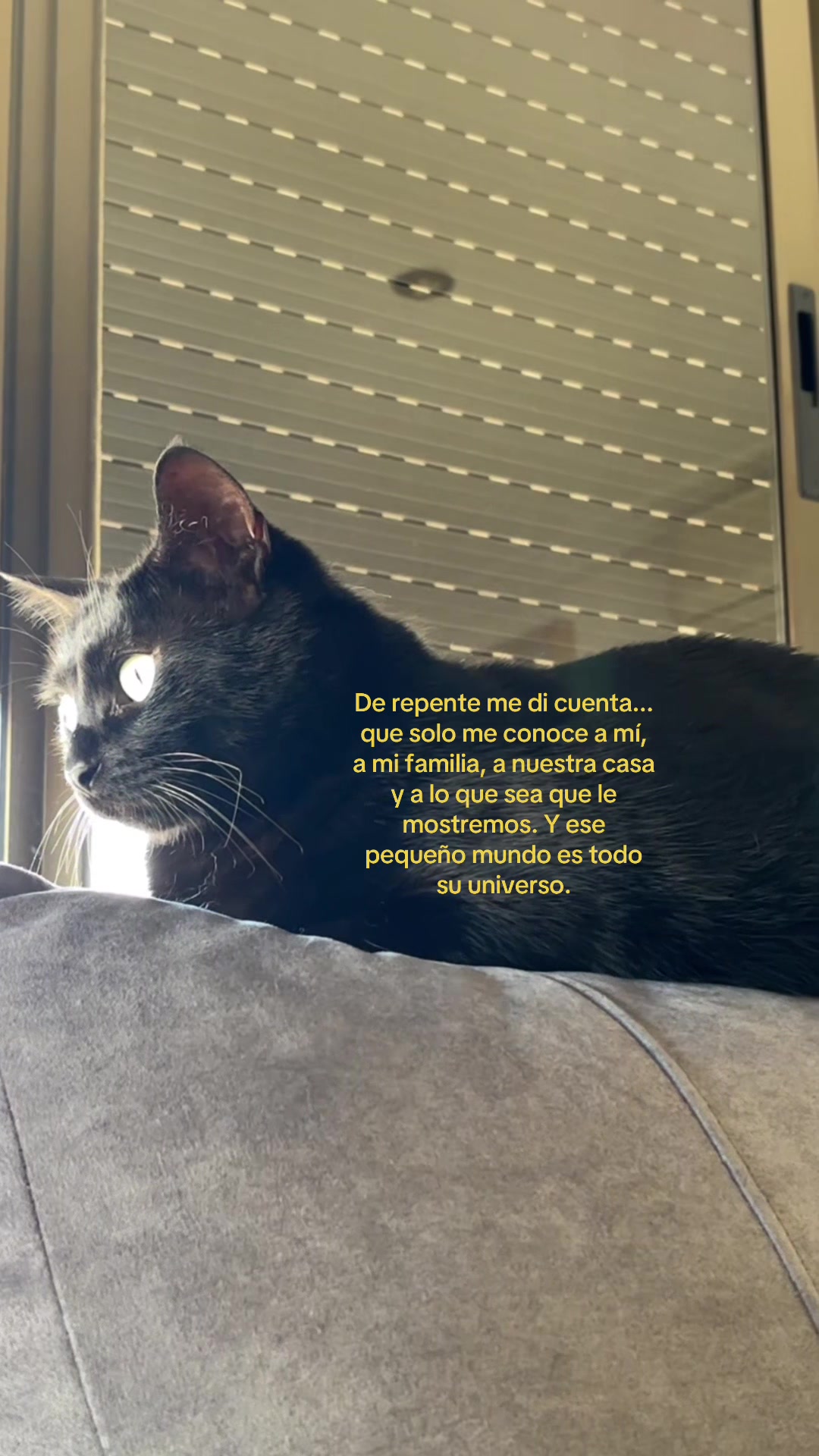 @BlackCatsMatter