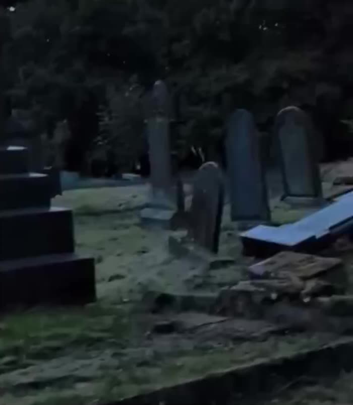 @GraveSnape🪦