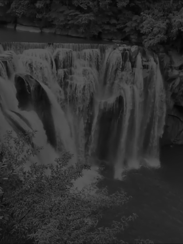 @सायरा 💕 धनु