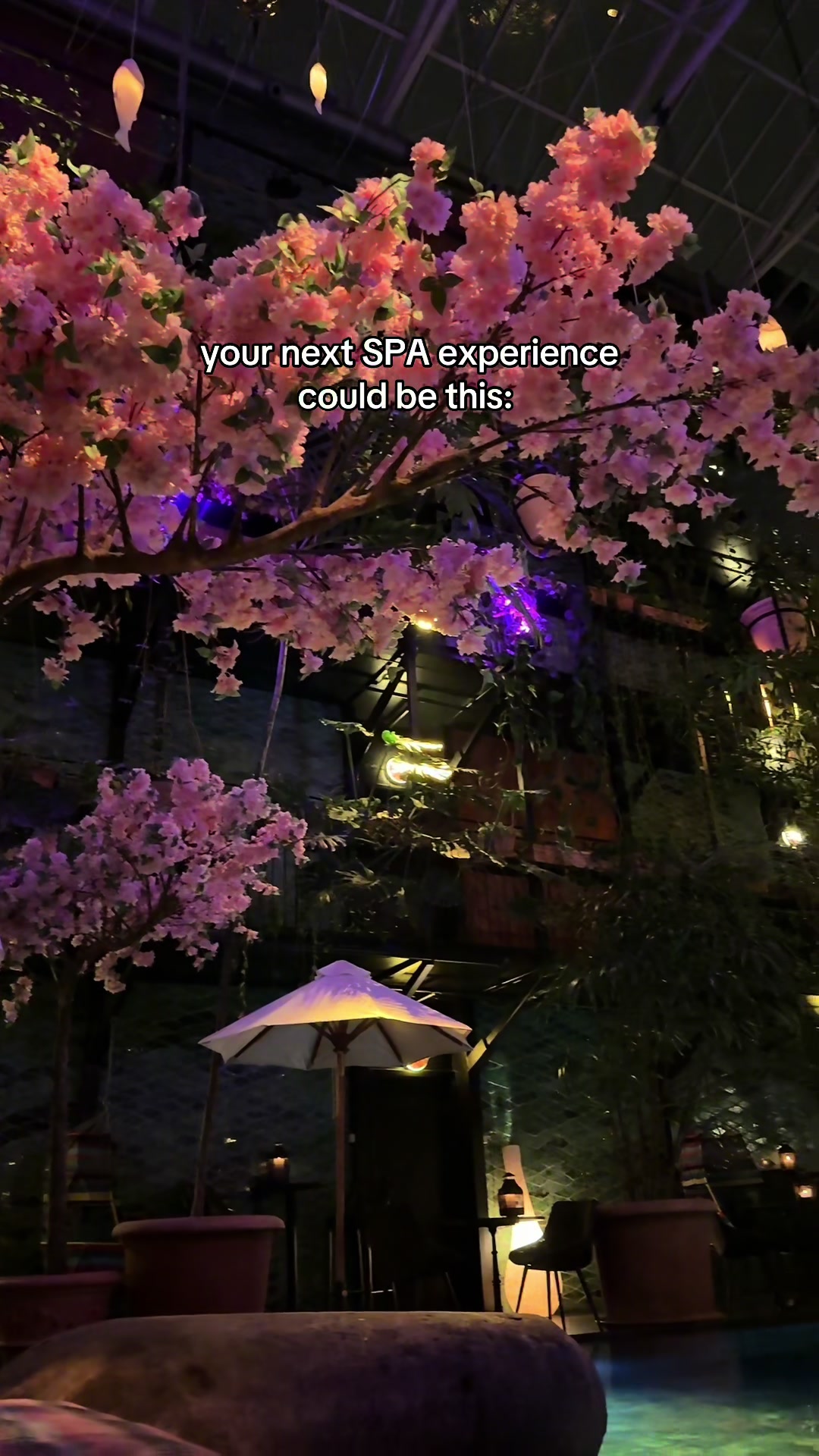 @hera suns