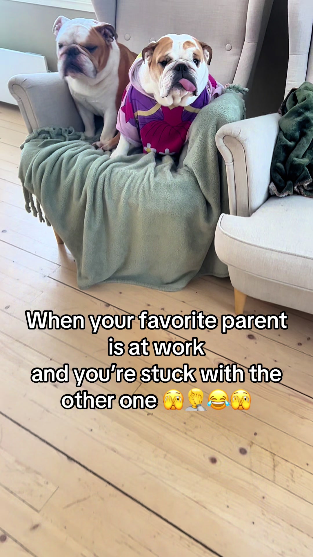 @bobandflodie