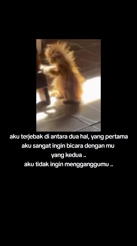 @ZA STory