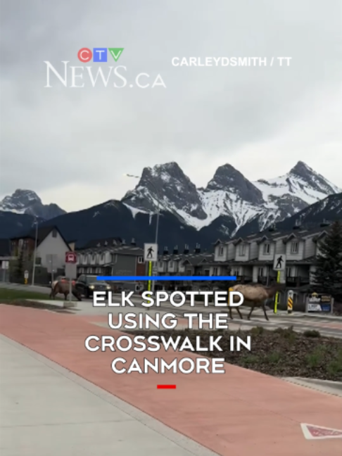@CTVNews
