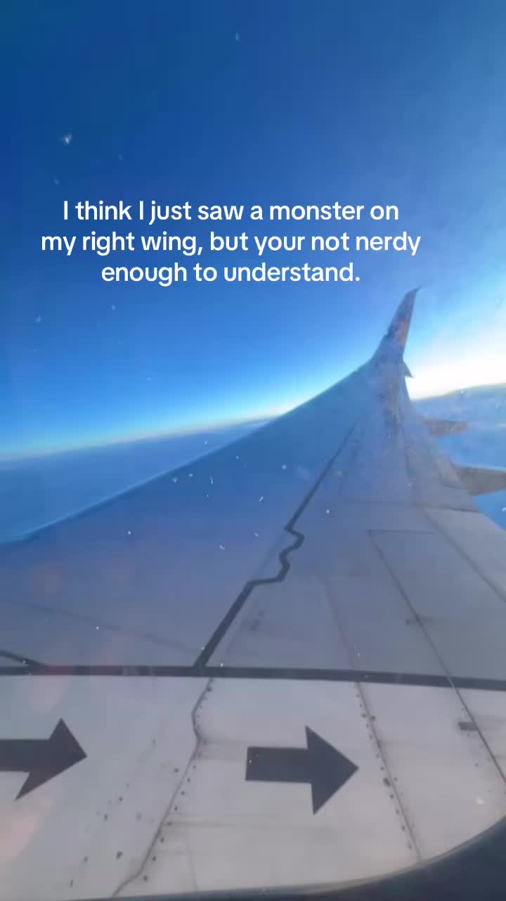 @ℒ🤍