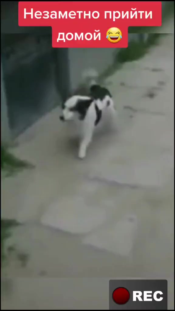 @Лариса