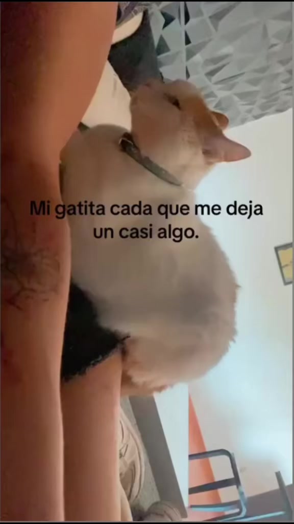 @Mariana Reyes