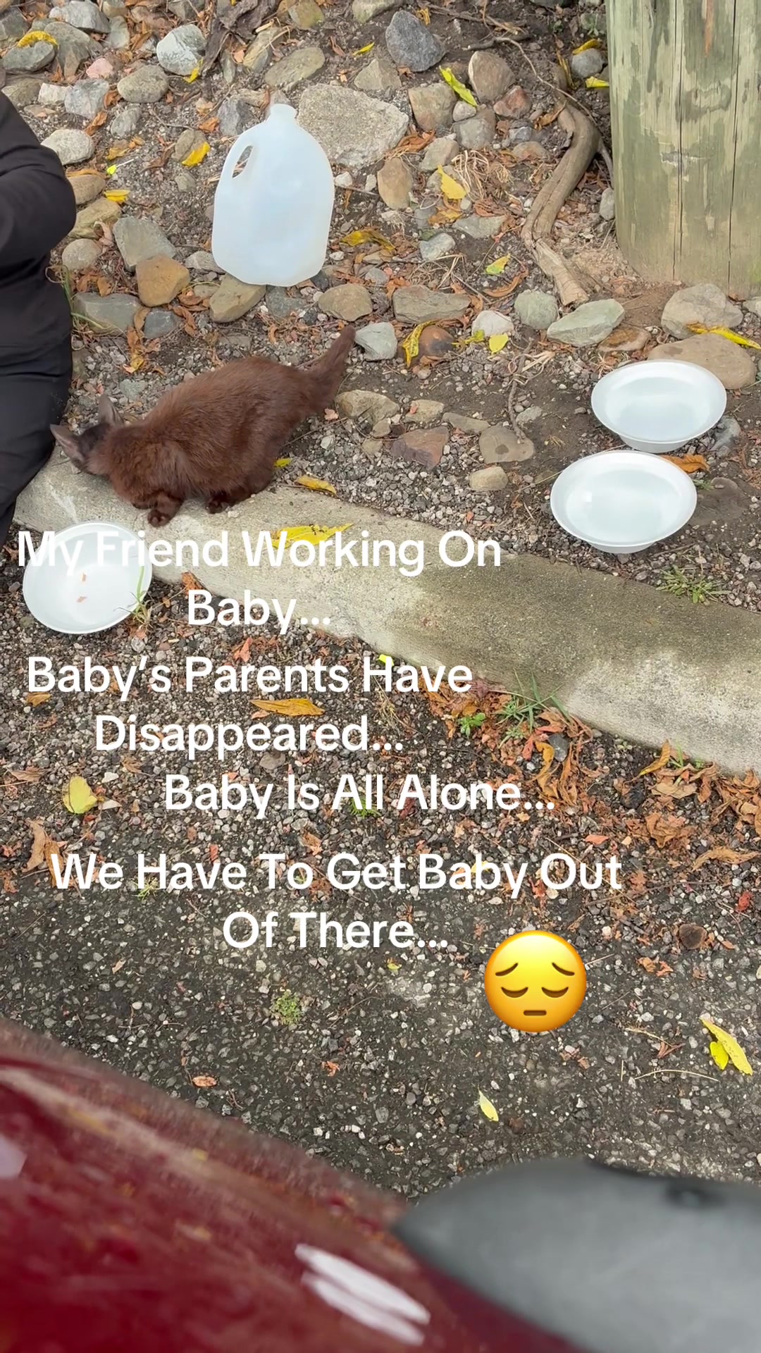@OldLady/StillTNRing