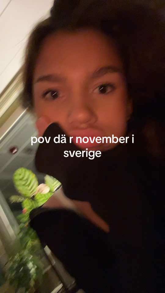 @alisamorazan
