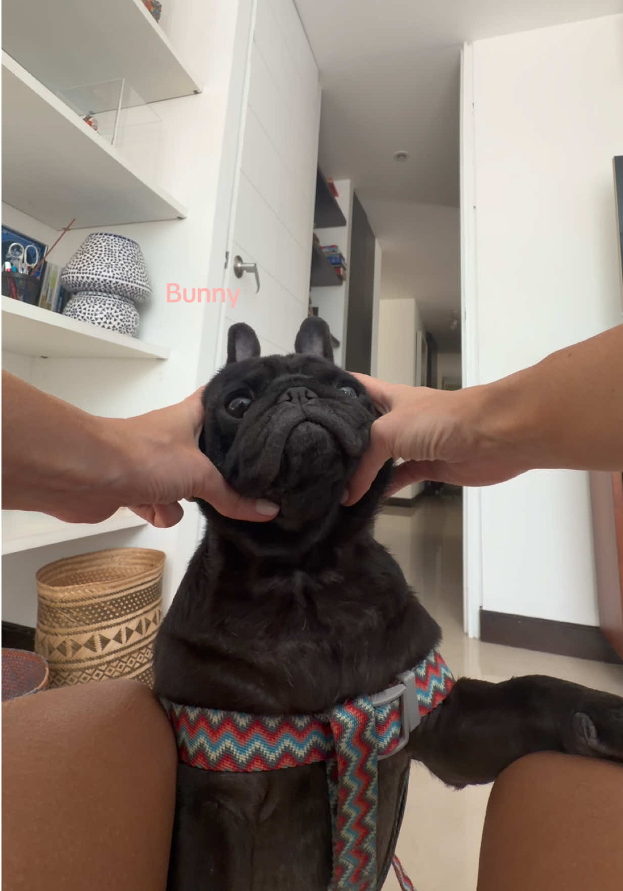 @Daniela Rojas