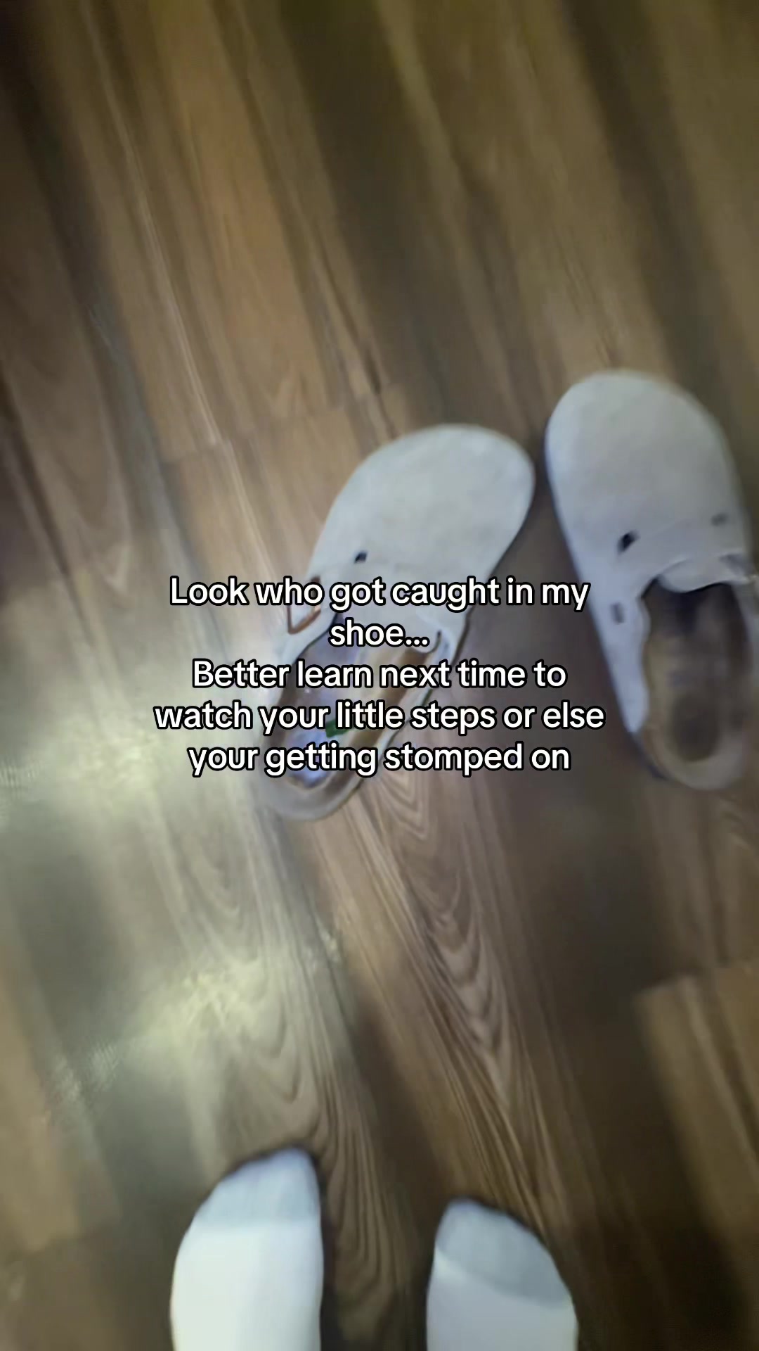 @GiantessMommy