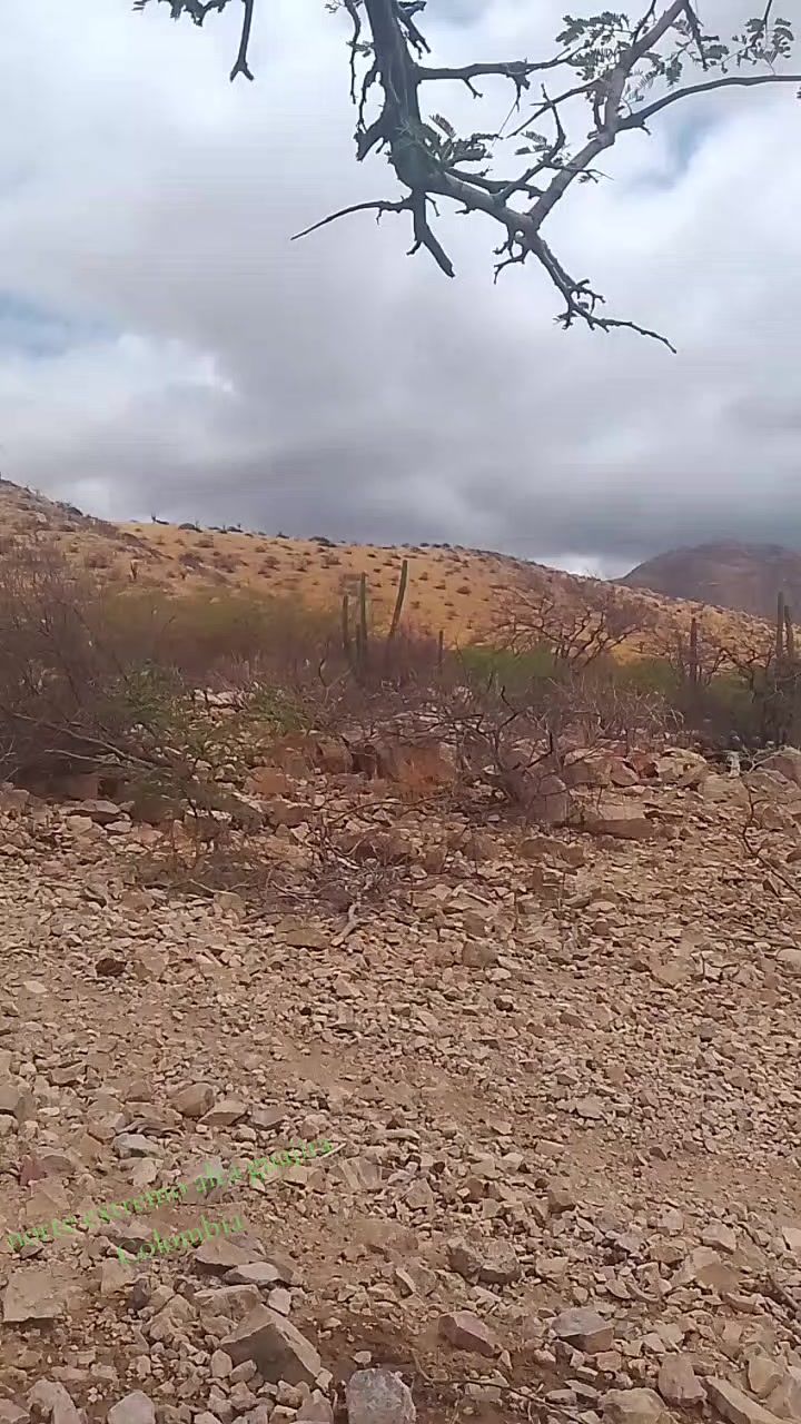 @Miguel González