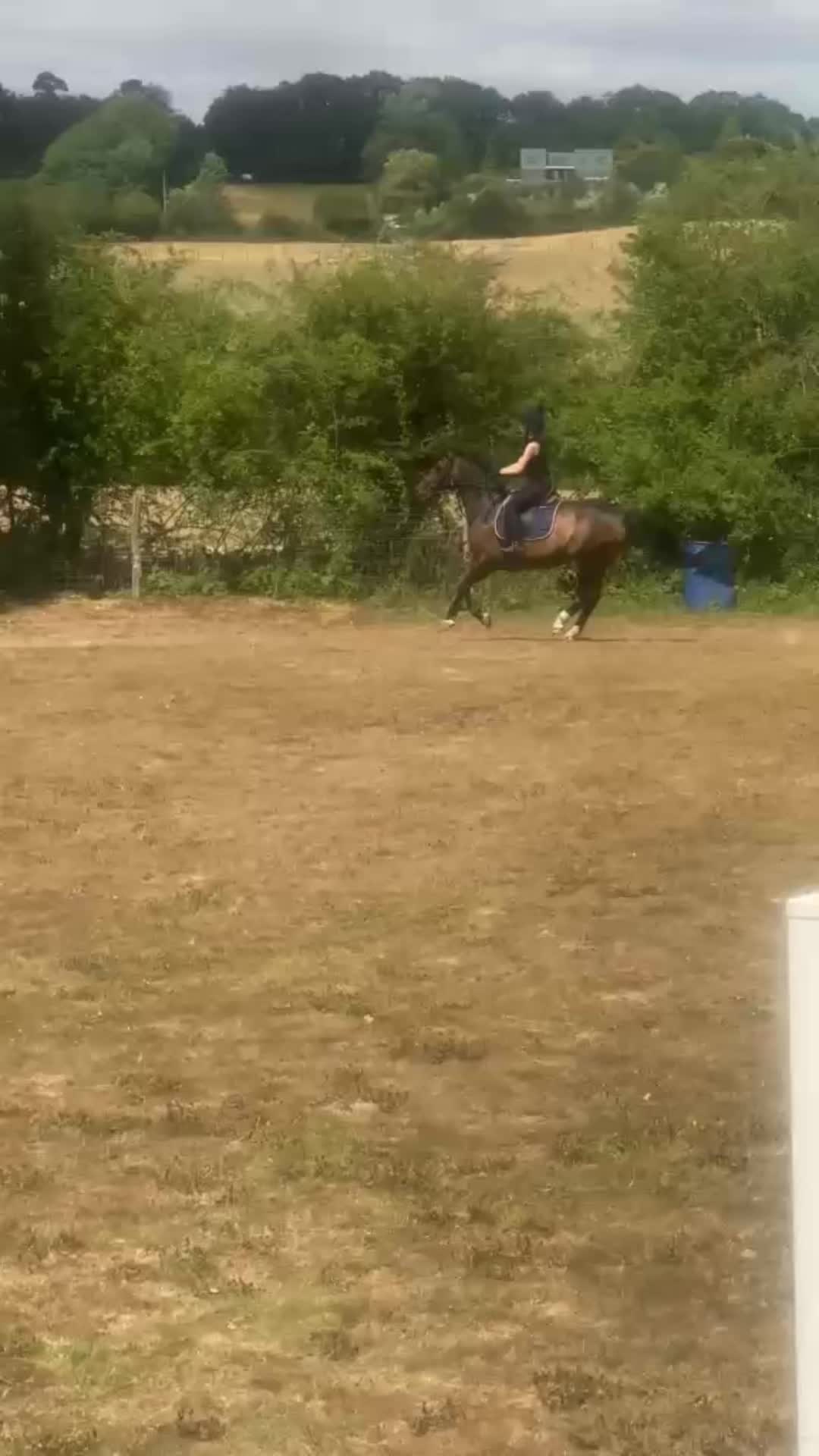 @Kitty equestrian.