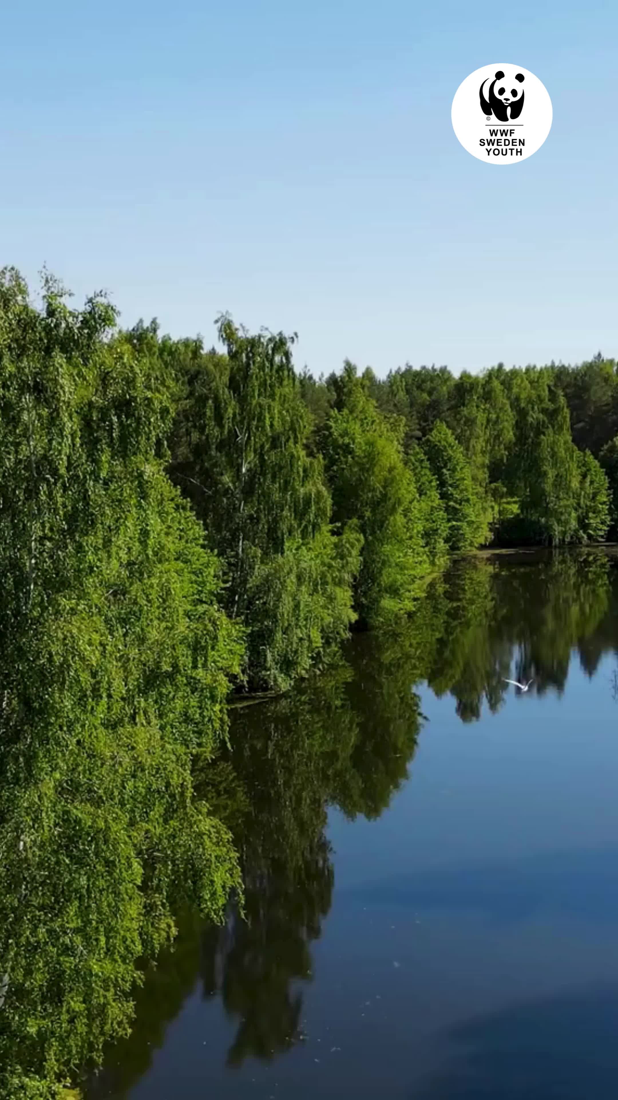 @WWF Sweden Youth